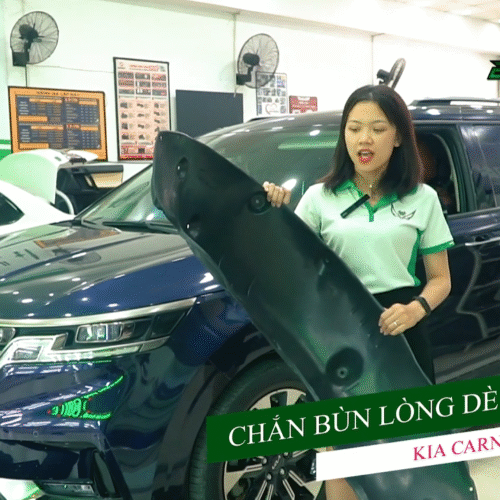 Chắn Bùn Lòng Vè là gì?