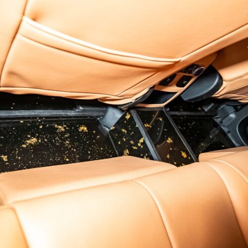 sàn carbon xe ford everest khoang hành khách