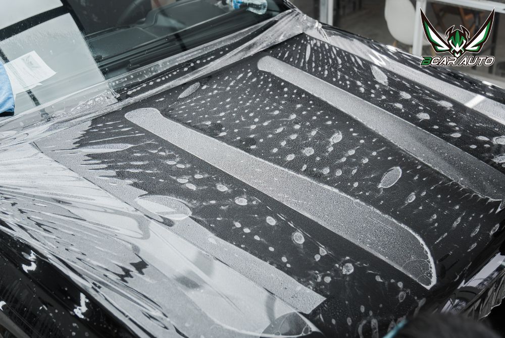 Dán PPF nắp capo Ford Everest 